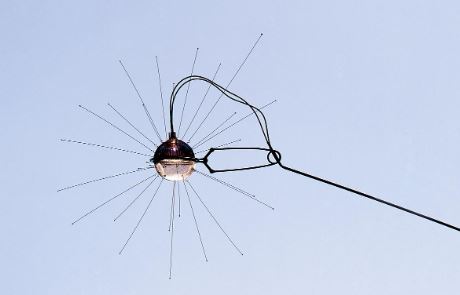 Mozzkitoモズキート