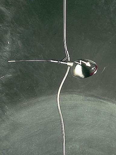 Hot Achille LEDホット アキーレ LED