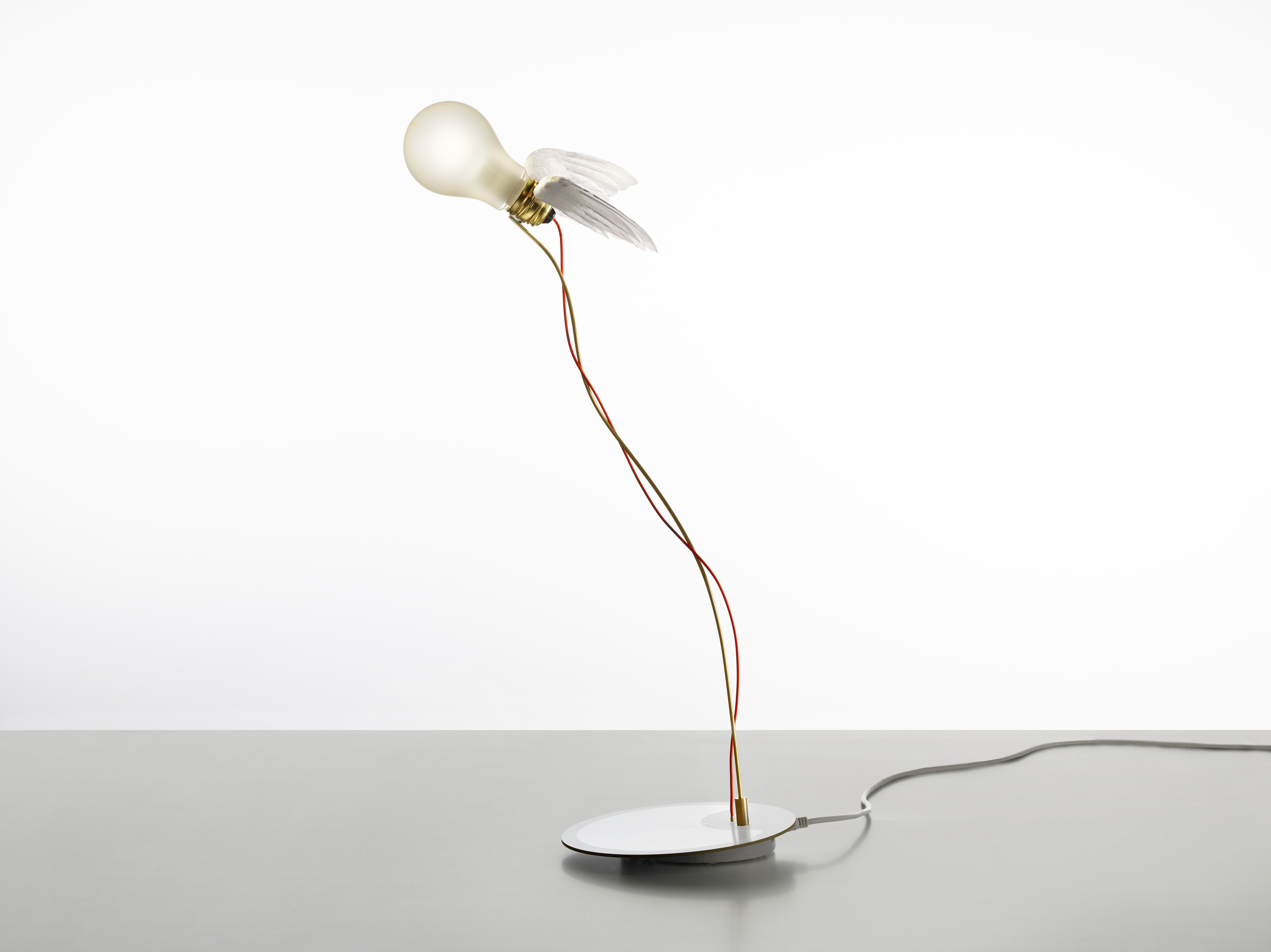 Lucellino Touch｜INGO MAURER｜Studio NOI｜スタジオノイ